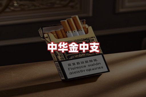 中华金中支